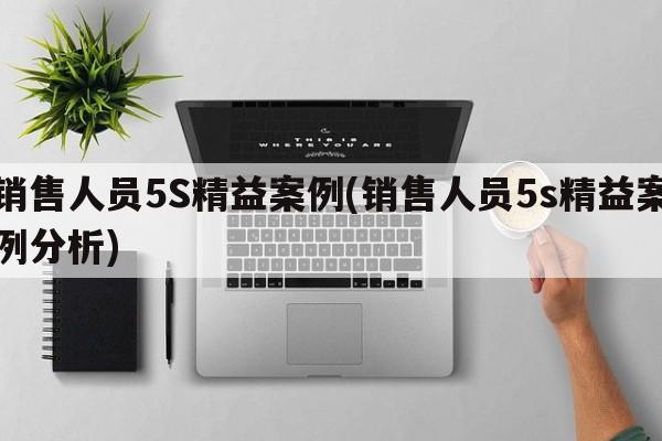 销售人员5S精益案例(销售人员5s精益案例分析)